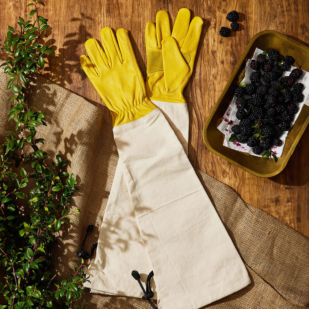 Guantes resistentes con protección de antebrazo integrada para zarzas - Pequeño