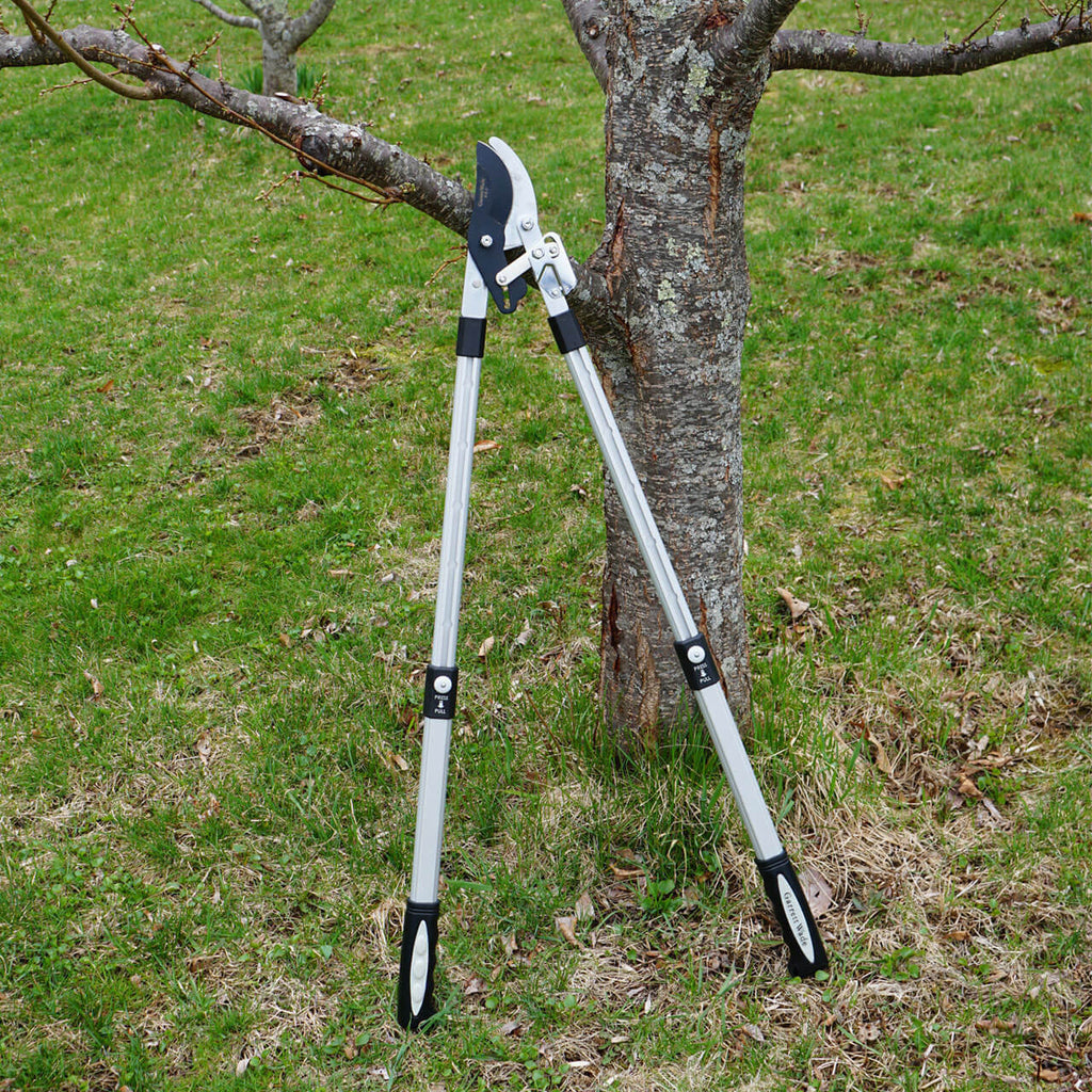 Tijeras de poda de derivación de servicio pesado con mangos telescópicos y mecanismo de trinquete