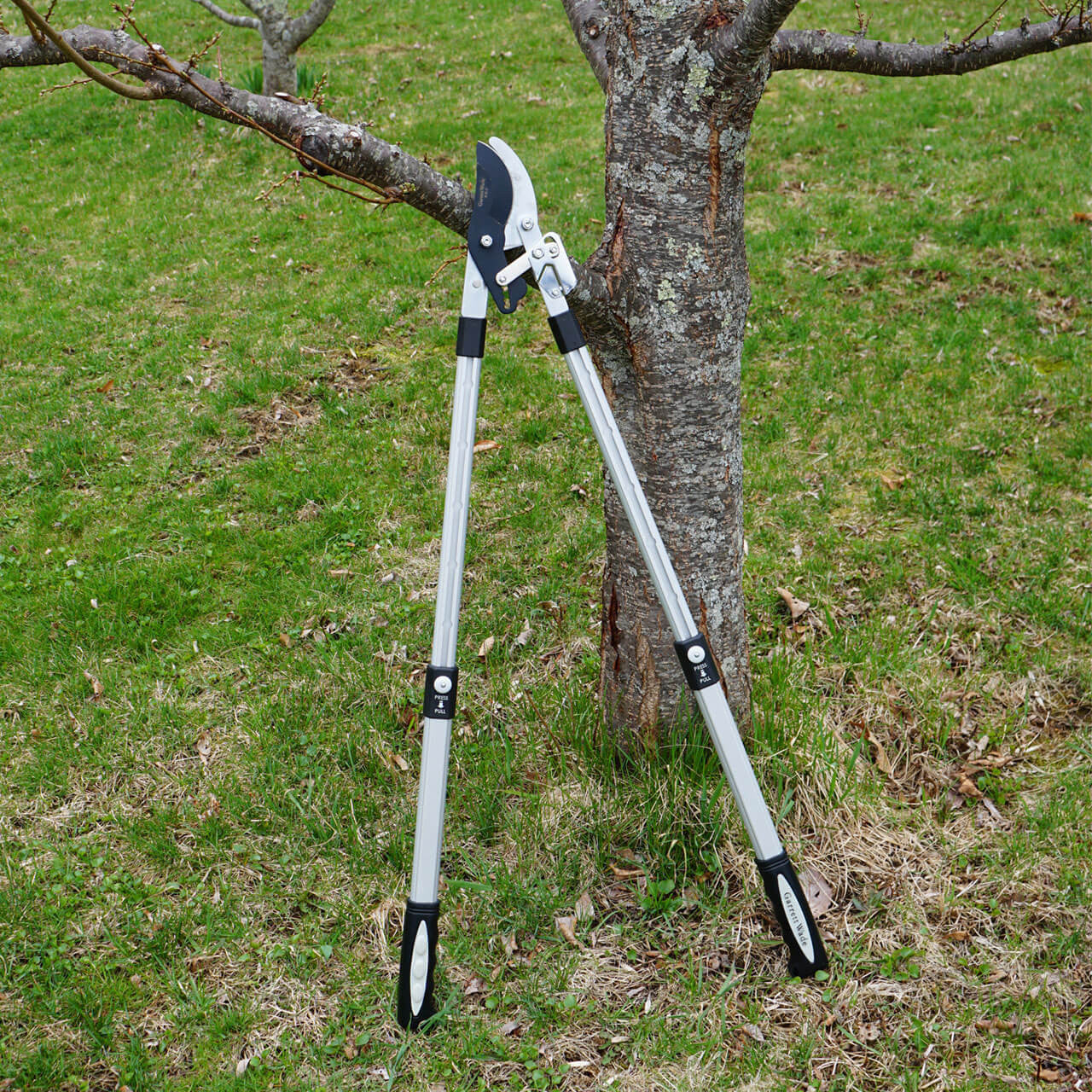 Tijeras de poda de derivación de servicio pesado con mangos telescópicos y mecanismo de trinquete