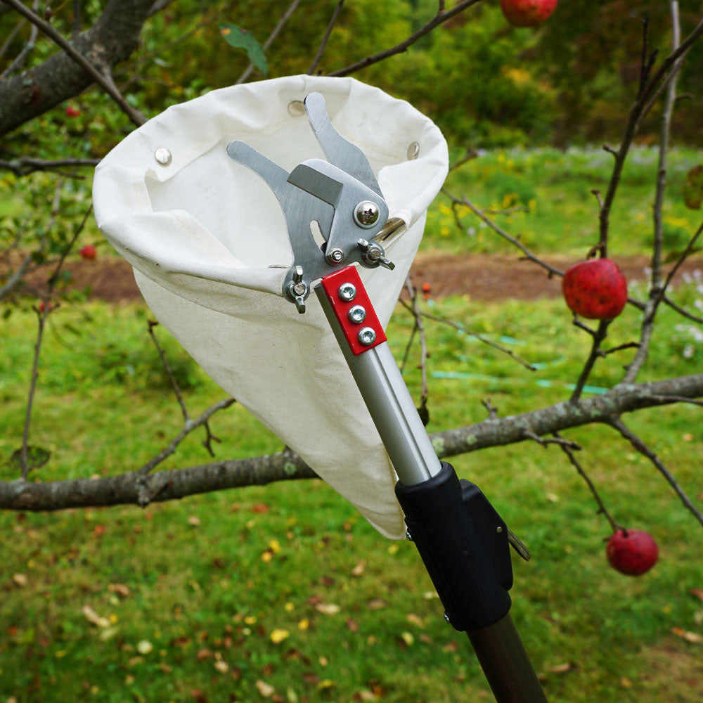 Recolector de fruta telescópico con pértiga de largo alcance y bolsa de recolección