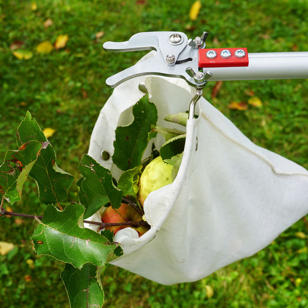 Recolector de fruta telescópico con pértiga de largo alcance y bolsa de recolección