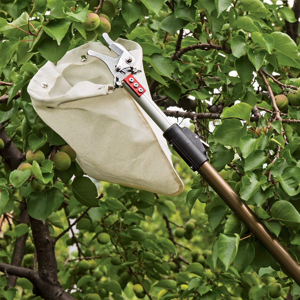 Recolector de fruta telescópico con pértiga de largo alcance y bolsa de recolección