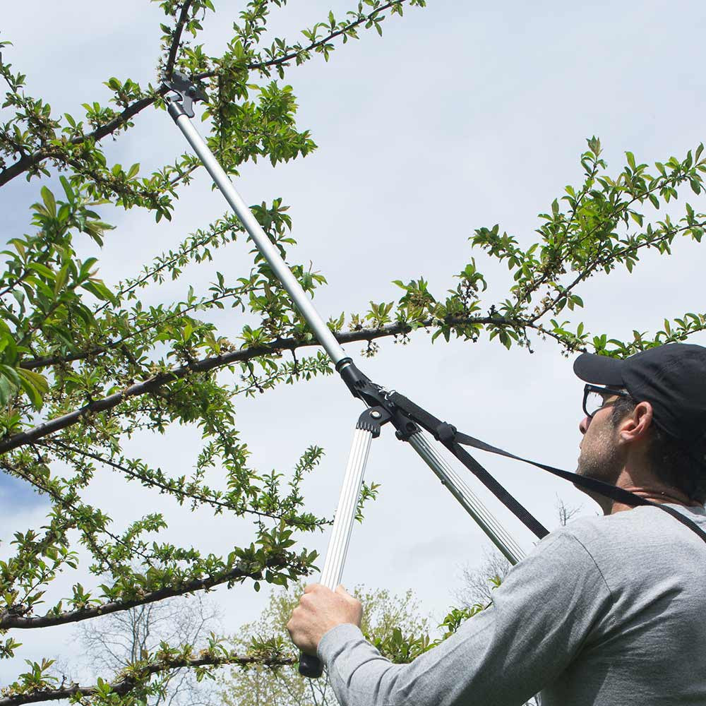 Cortadora/Podadora de Largo Alcance para Arborista