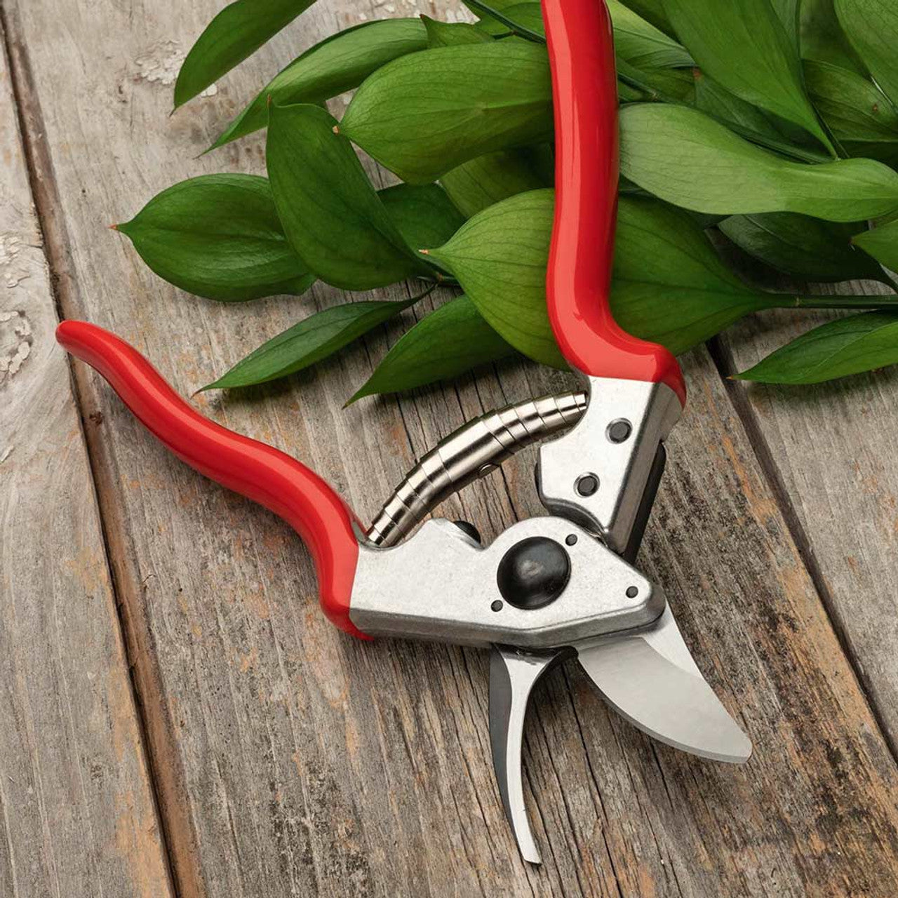 Cuchillo Hori Hori con Bolsa de Lona Encerada, Tijeras de Podar y Paletas