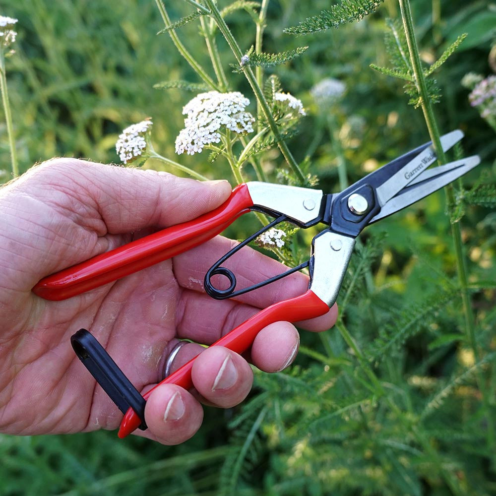 Tijeras de podar de derivación de acero forjado con tijeras de fruta, color verde clásico