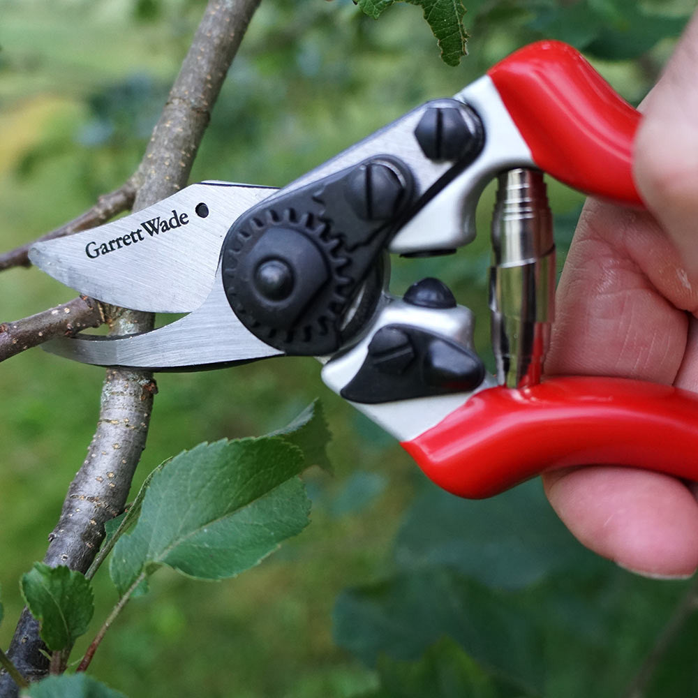 Tijeras de podar de derivación de acero forjado con tijeras de fruta, color verde clásico