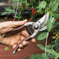 Tijeras de podar de derivación francesas con empuñadura de cuero para un recorte preciso del jardín