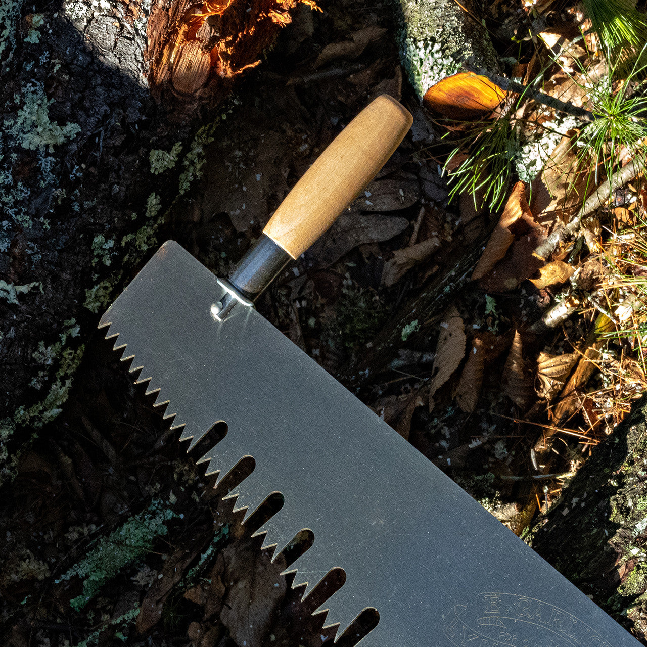 Sierra de corte transversal para una persona, 36 pulgadas, mango de haya, para trozar troncos