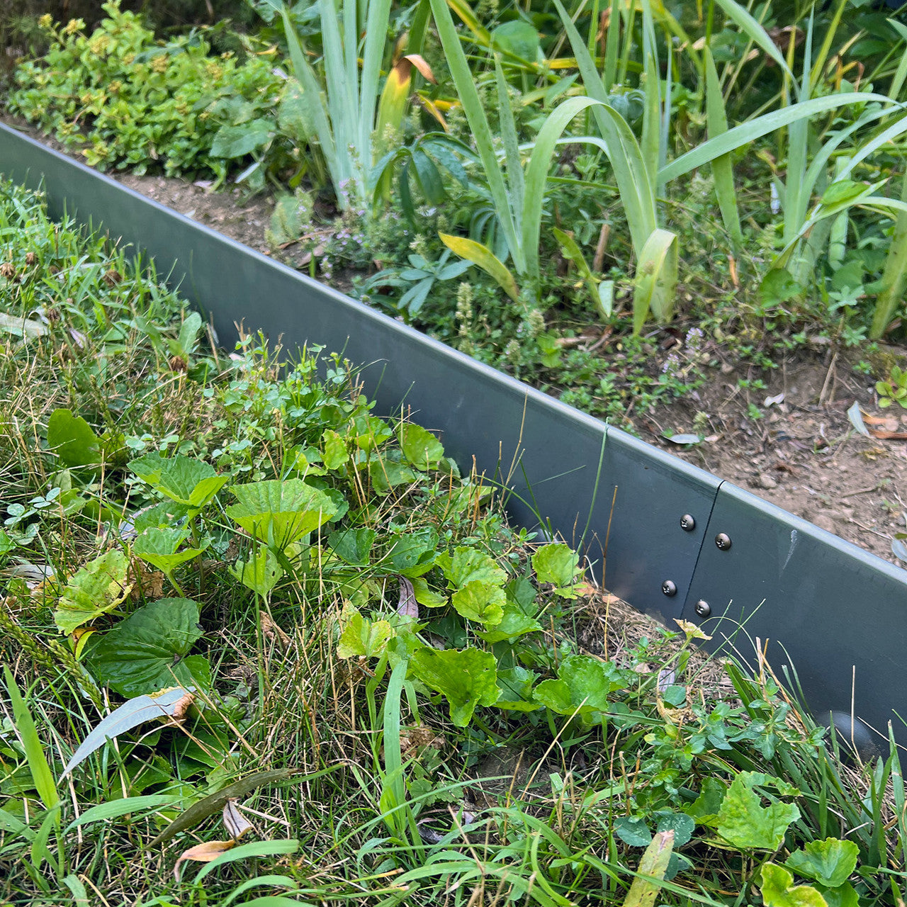 Borde de Jardín de Acero Corten con Picos para Suelo