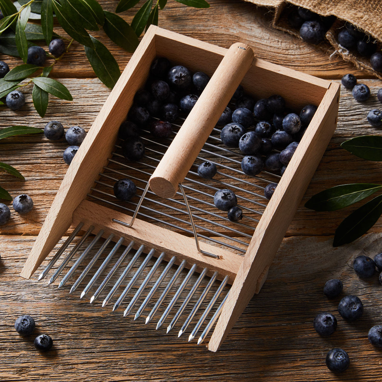 Cosechadora de bayas Huckleberry Comb