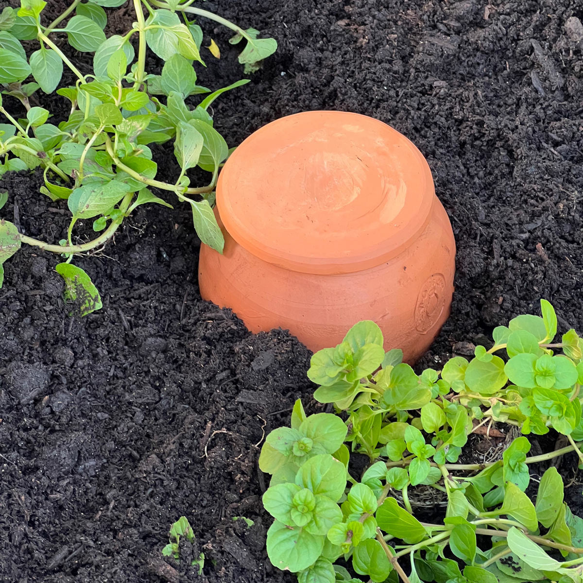 Hidratador de plantas de terracota mediano en forma de lágrima