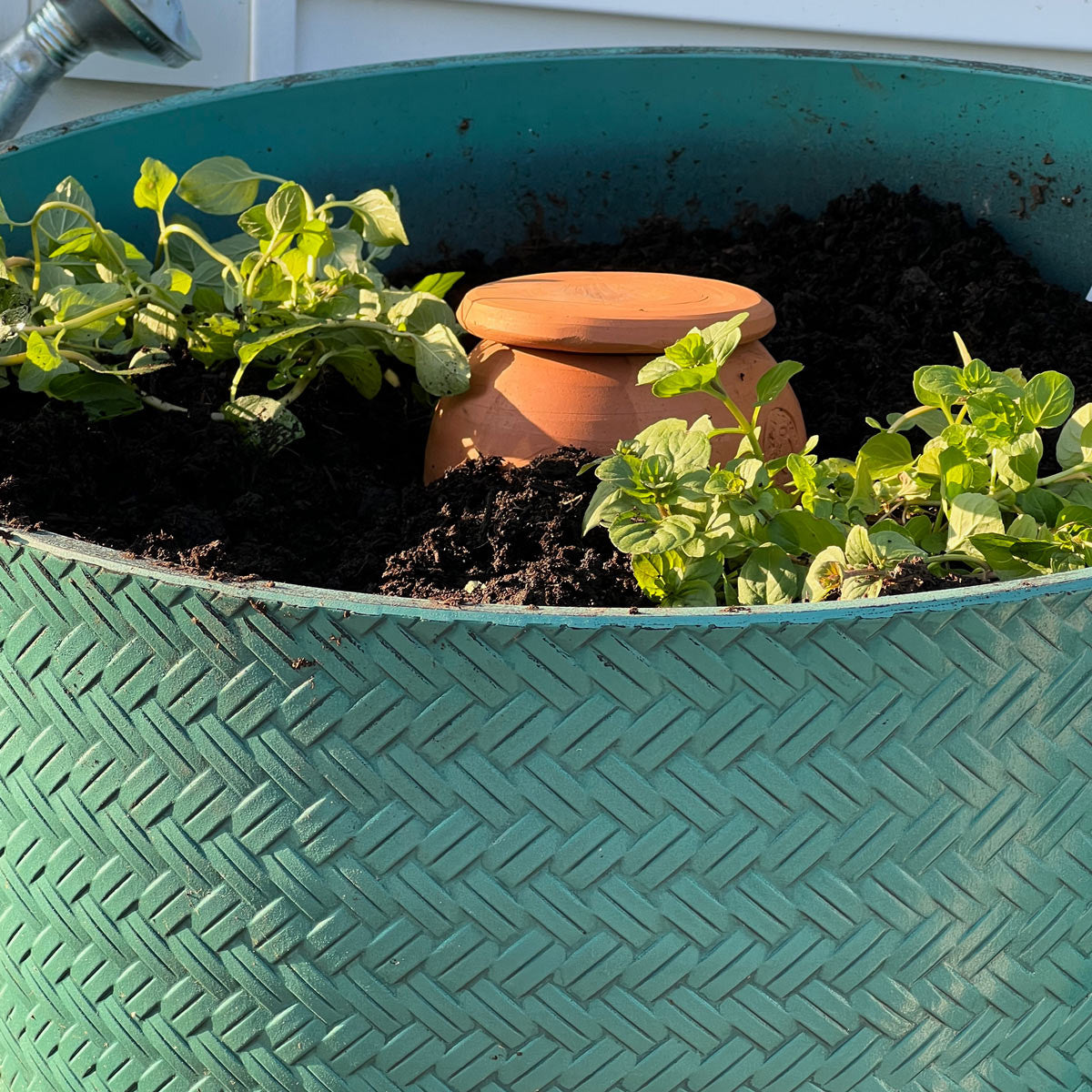 Hidratador de plantas de terracota mediano en forma de lágrima