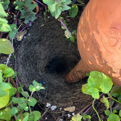 Hidratador de plantas de terracota mediano en forma de lágrima