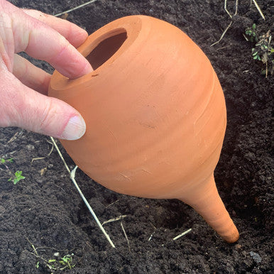 Hidratador de plantas de terracota mediano en forma de lágrima