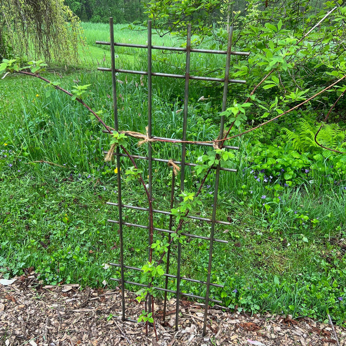 Panel de espaldera de acero para plantas trepadoras, judías, tomates