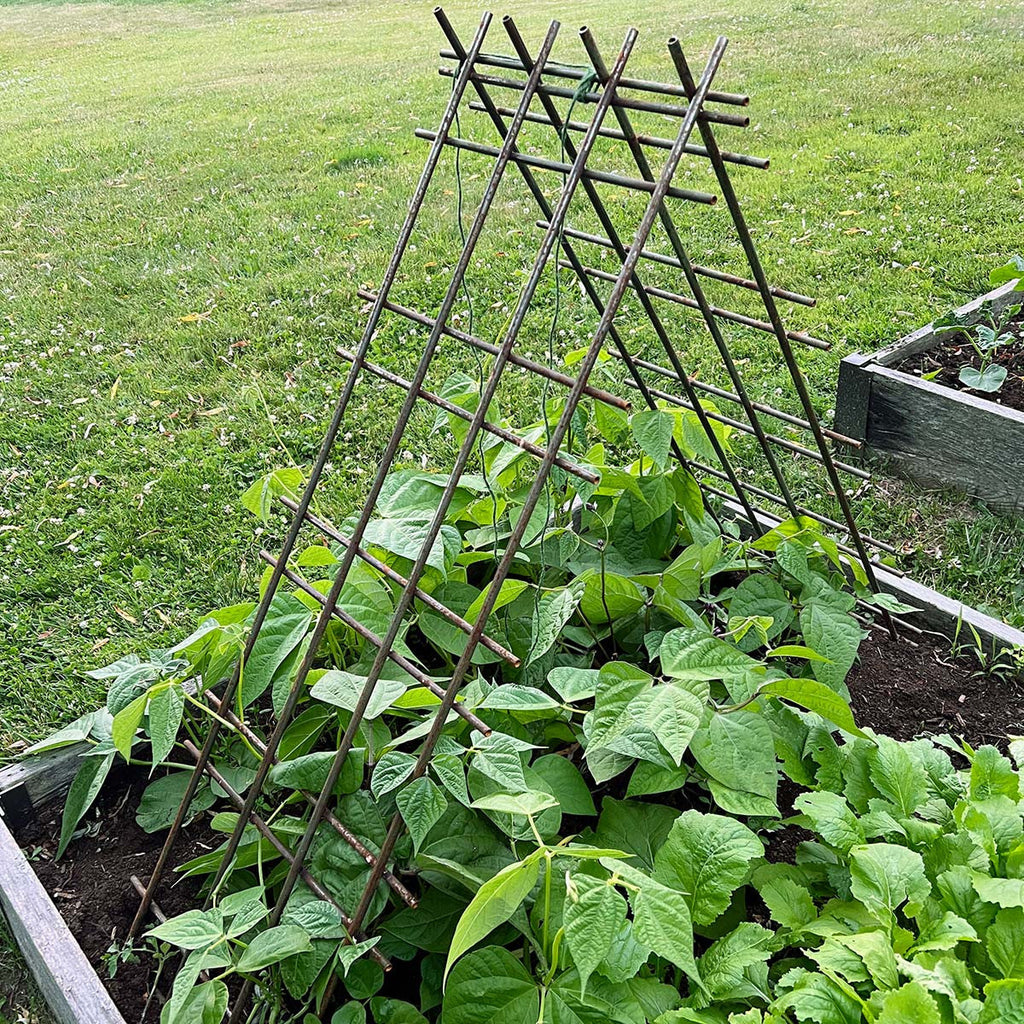 Panel de espaldera de acero para plantas trepadoras, judías, tomates