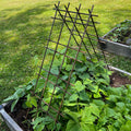 Panel de espaldera de acero para plantas trepadoras, judías, tomates