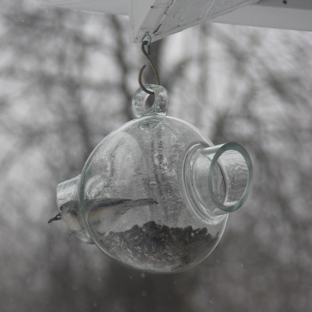 Comedero para pájaros de cristal soplado grande con ventana de visualización de 360 grados