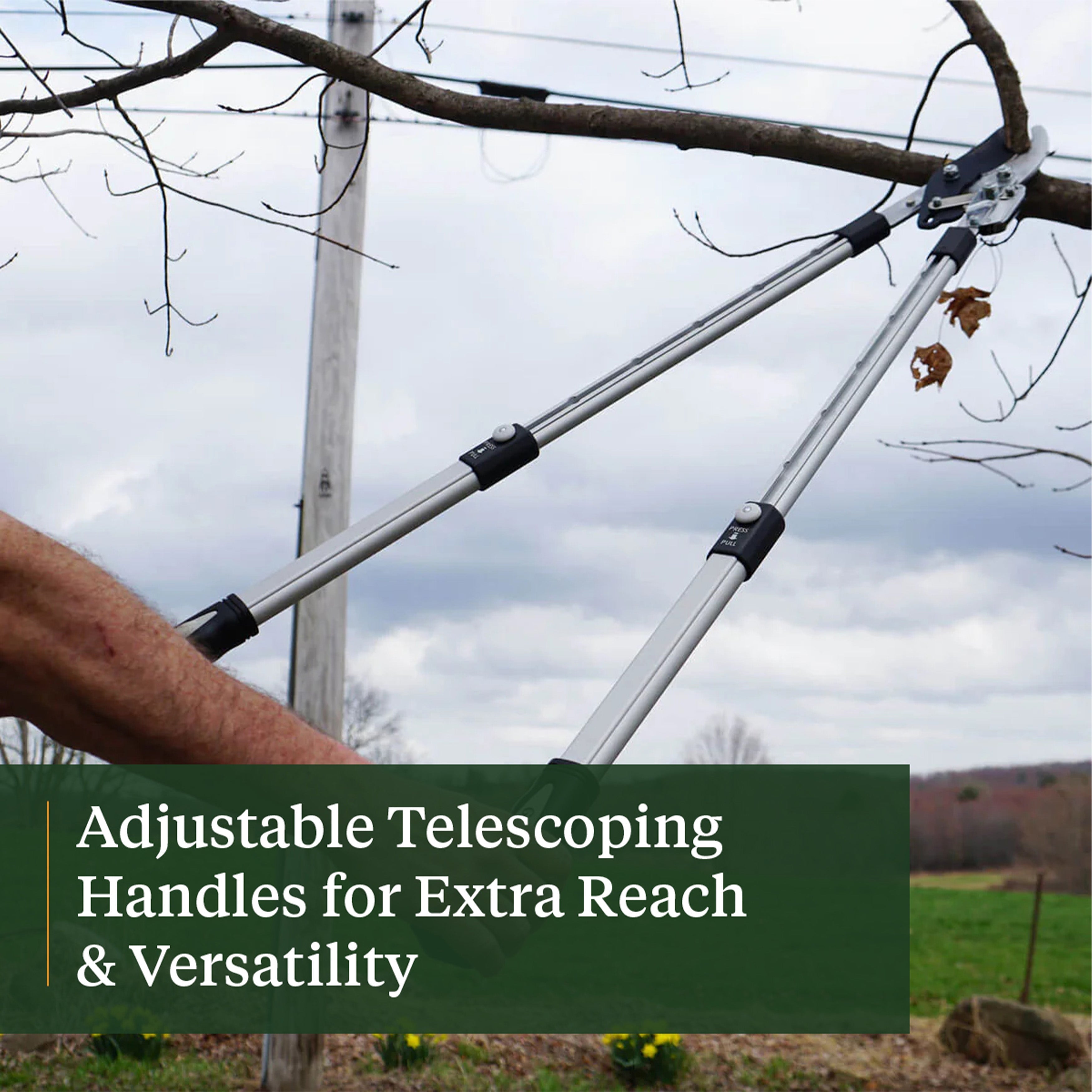 Tijeras de poda de derivación de servicio pesado con mangos telescópicos y mecanismo de trinquete