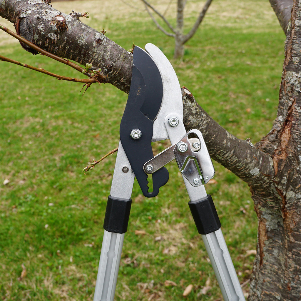 Tijeras de poda de derivación de servicio pesado con mangos telescópicos y mecanismo de trinquete