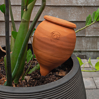 Hidratador de plantas de terracota mediano en forma de lágrima