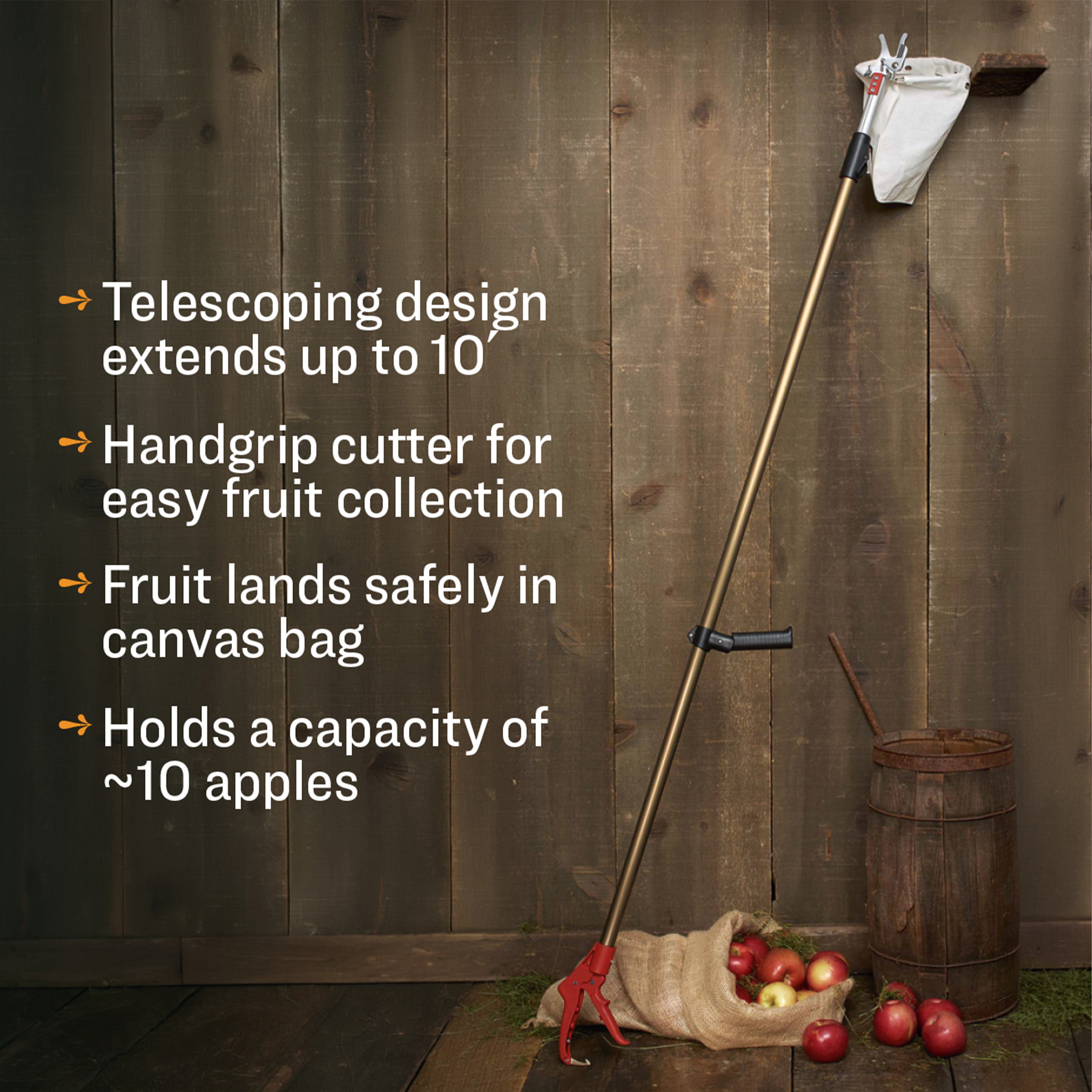 Recolector de fruta telescópico con pértiga de largo alcance y bolsa de recolección